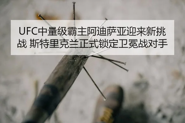zhong-liang-ji-ba-zhu-a-di-sa-ya-ying-lai-xin-tiao-zhan-si-te-li-ke-lan-zheng-shi-suo-ding-wei-mian-zhan-dui-shou-2-294.jpg